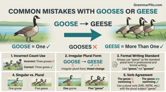 Common mistakes with Gooses or Geese