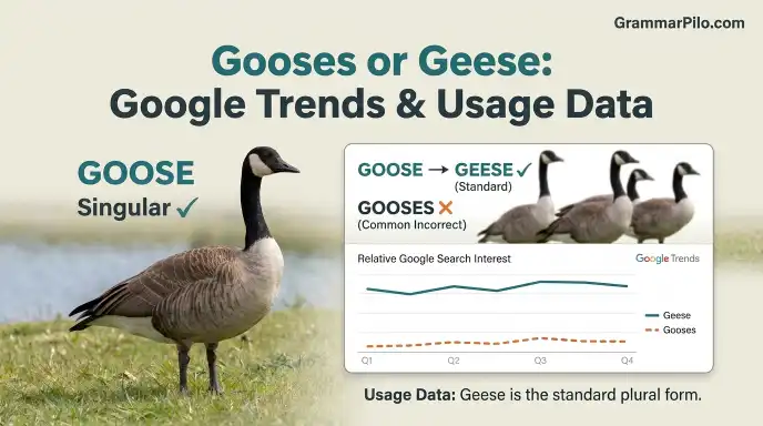 Gooses or Geese: Google Trends & Usage Data