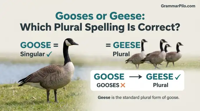 gooses or geese