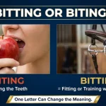 bitting or biting