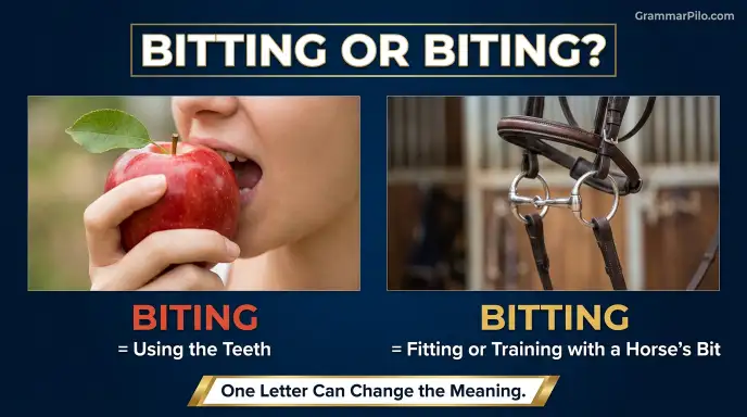 bitting or biting