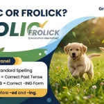 frolic or frolick