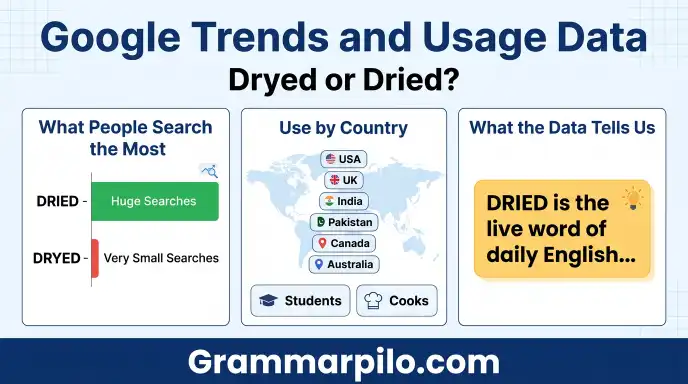 Google Trends and Usage Data for Dryed or Dried