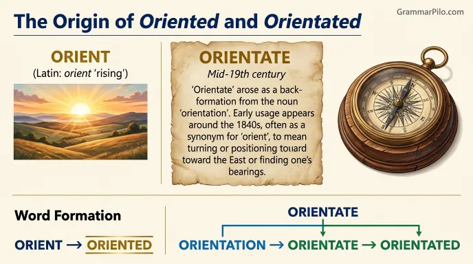 The Origin of Oriented and Orientated